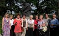 Arkadia, Nieborow, Zelazowa Wola 111